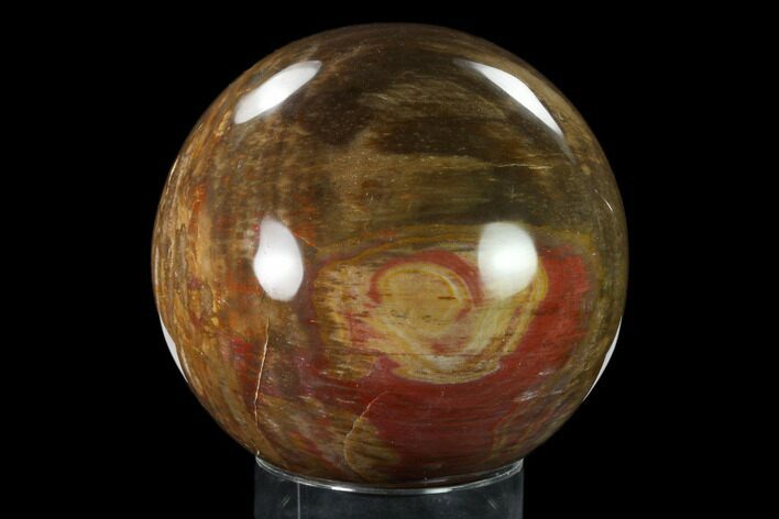 Colorful, Petrified Wood Sphere - Madagascar #135323